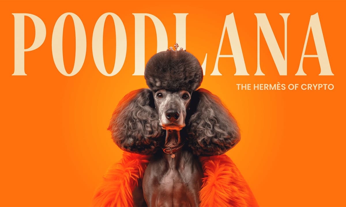 24 ชั่วโมงสุดท้ายก่อนการลิสต์: การขายล่วงหน้า Poodlana กำลังจะปิด—ระดมทุนได้ $7.1 ล้าน